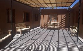 Casa Macaw